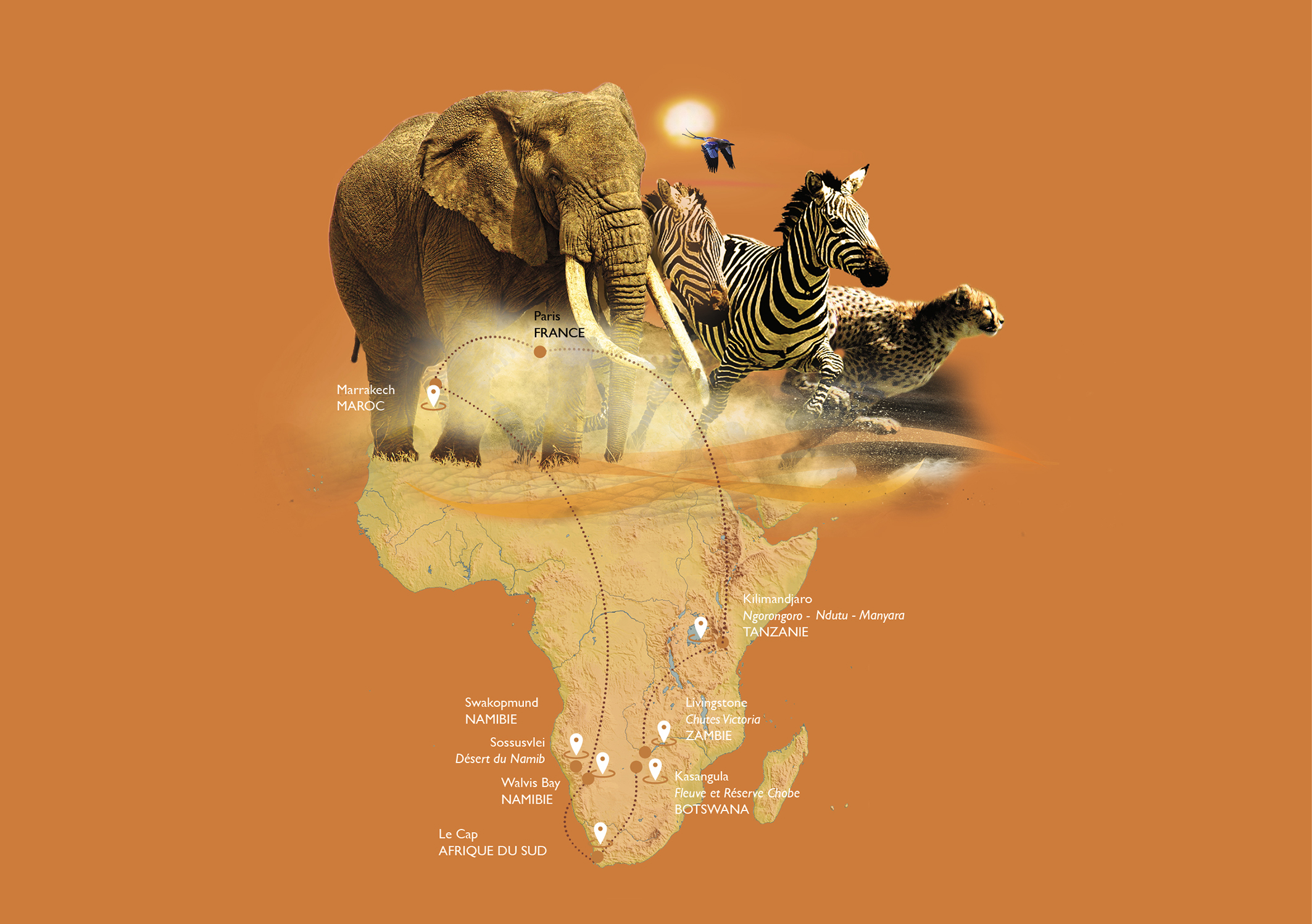 Voyage immersif en Afrique, entre safaris authentiques et rencontres avec la faune, avec TMR Voyages.