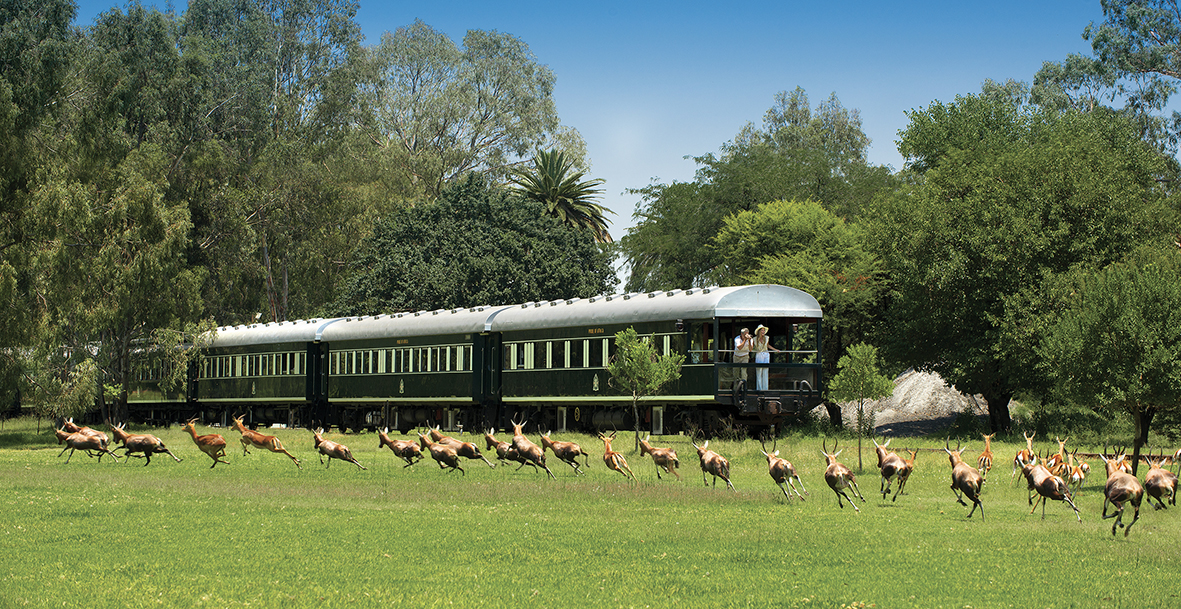 Voyage en train de luxe à travers la savane, offrant des expériences authentiques et des paysages iconiques avec TMR Voyages.